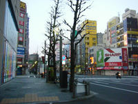 DSCF0135.jpg