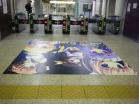 DSCF0142.jpg