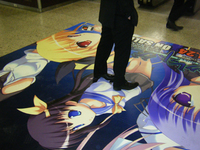 DSCF0144.jpg